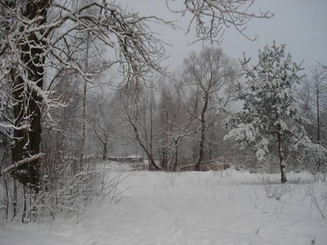 Projekts-9-35.jpg